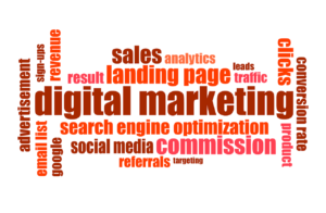 digital marketing seo expert in bd